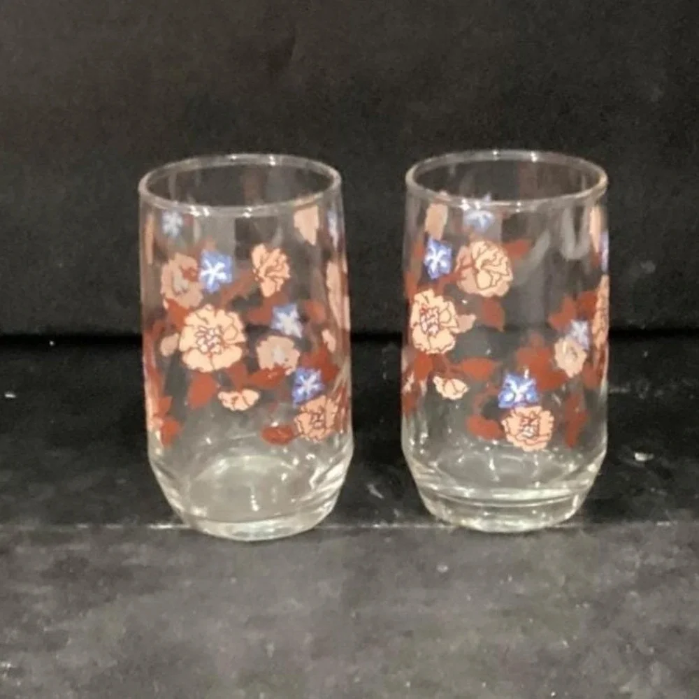 Libbey Floral Juice Glasses, Set of 2,‎ Vintage Orange Flowers Design Drinkware